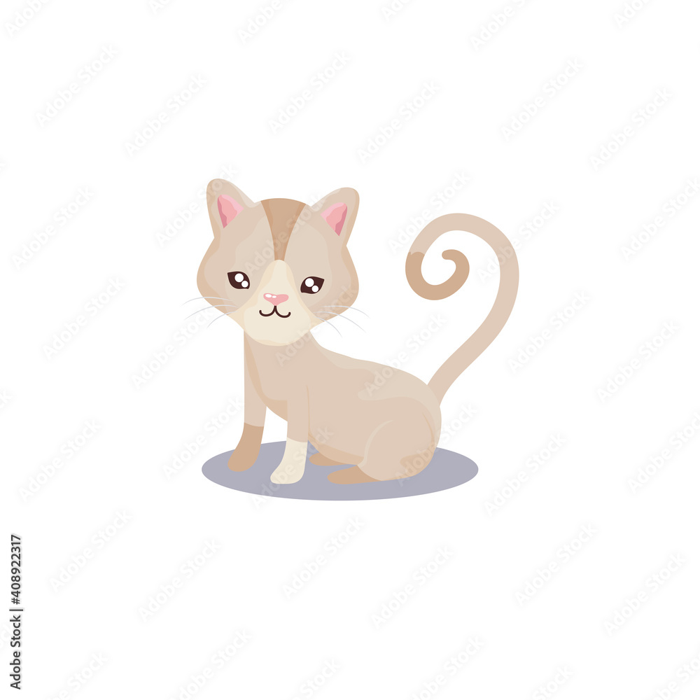 pet, little cat animal domestic white background