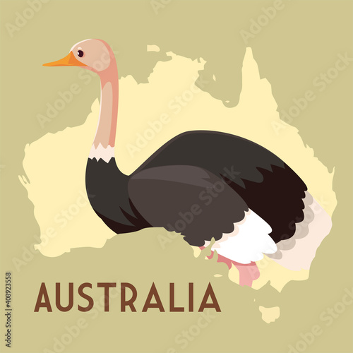 australian ostrich map animal wildlife