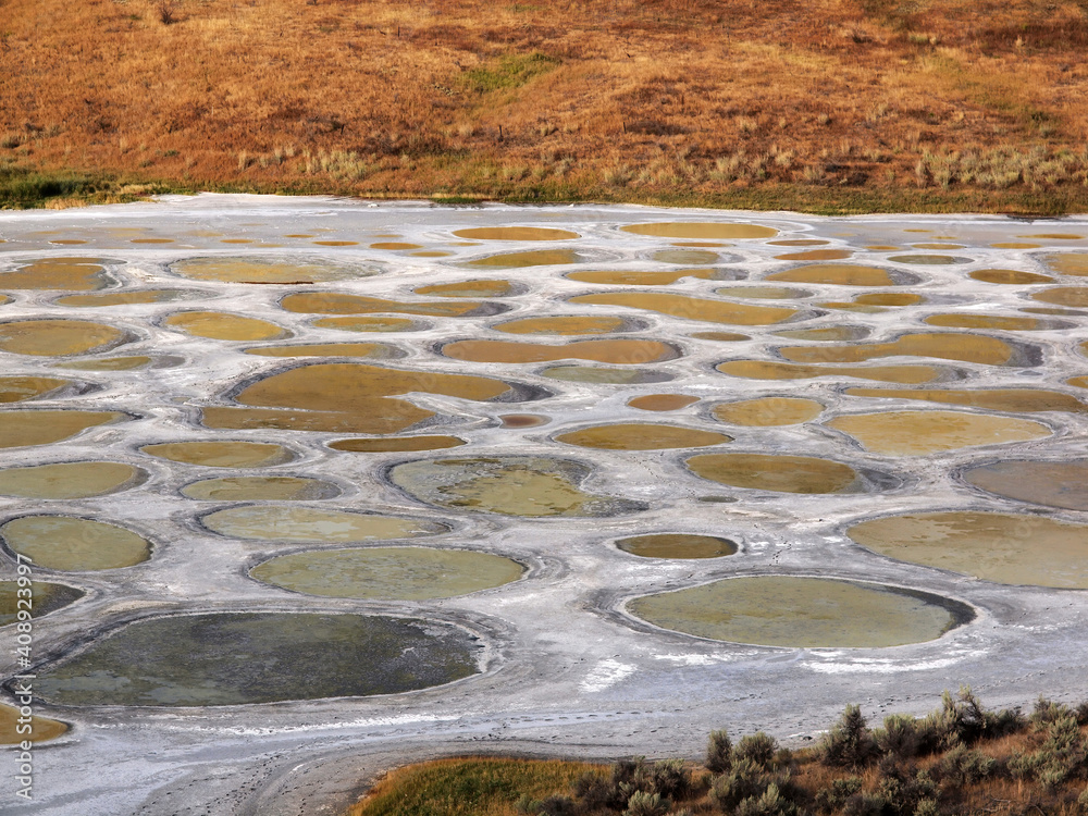 Spotted lake in osoyoos British Columbia Canada