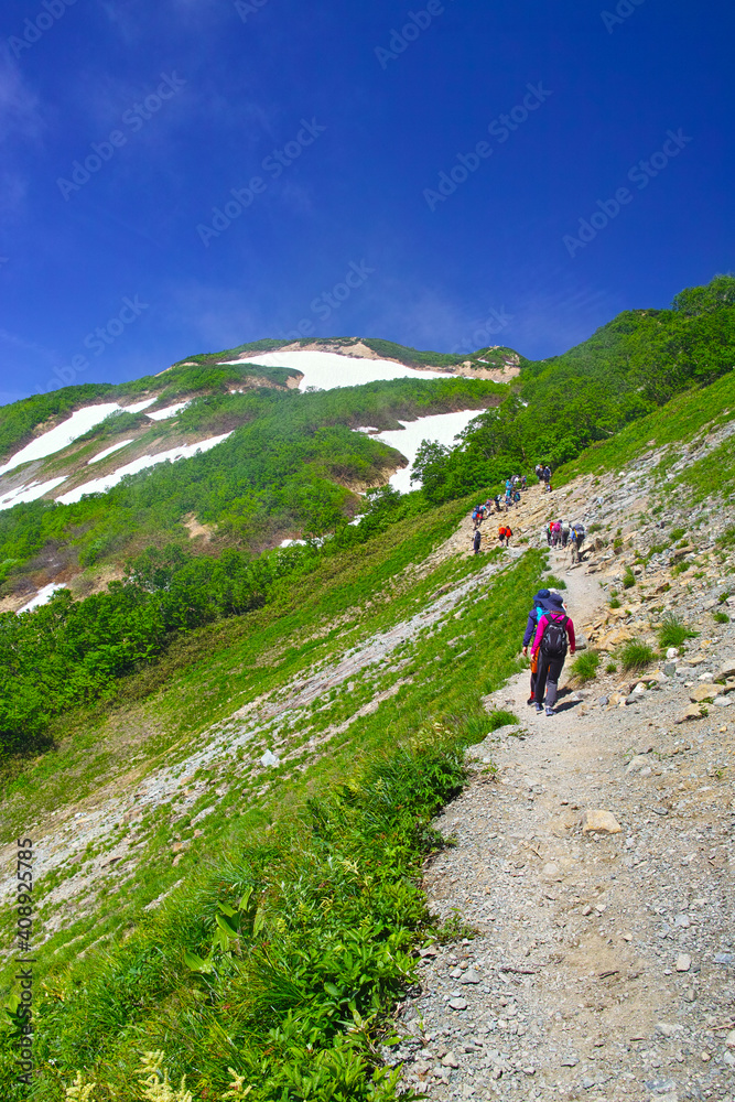 初夏の八方尾根登山道を歩く登山者
