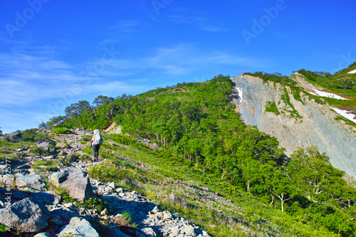 初夏の八方尾根登山道を歩く登山者