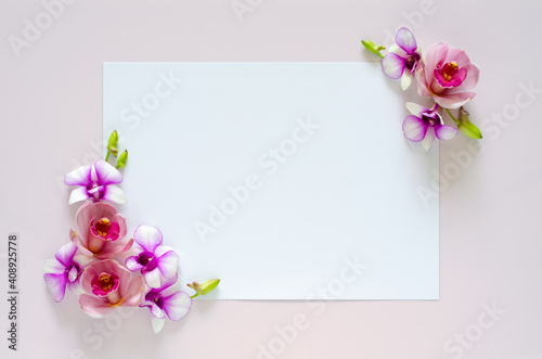 Empty white paper for text with orchids flower of two coner on pastel pink background.