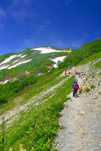 初夏の八方尾根登山道を歩く登山者