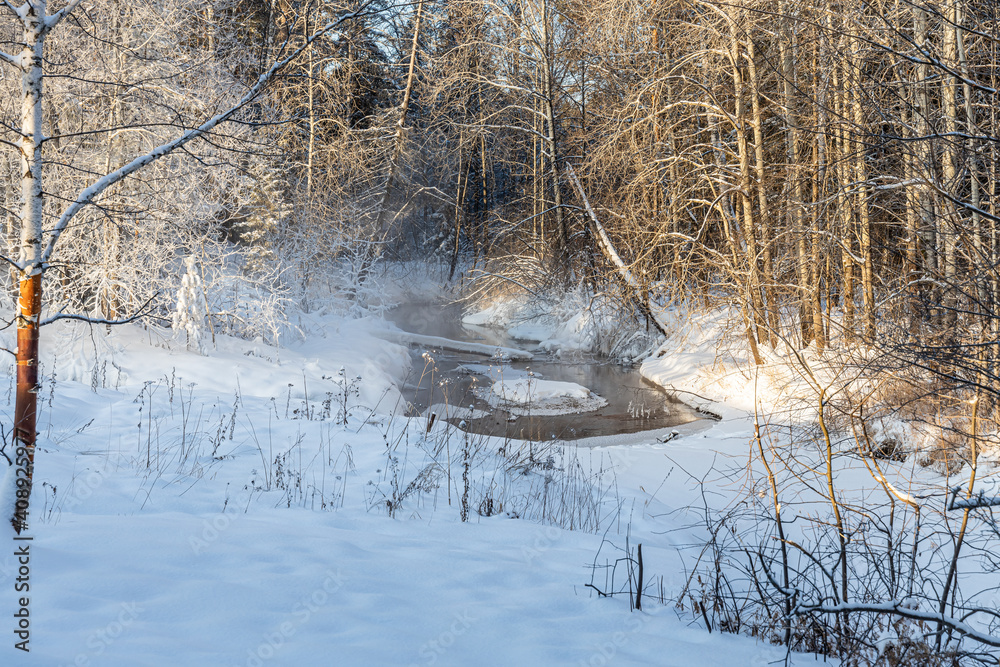 Obraz premium River and Brown branches covered with white fluffy snow are in winter day in the forest