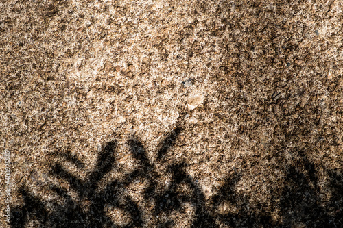 Old rough texture cement floor with shadow of tree.
