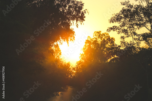 beautiful landscape of sunset in the woods in forest © Kavkirat