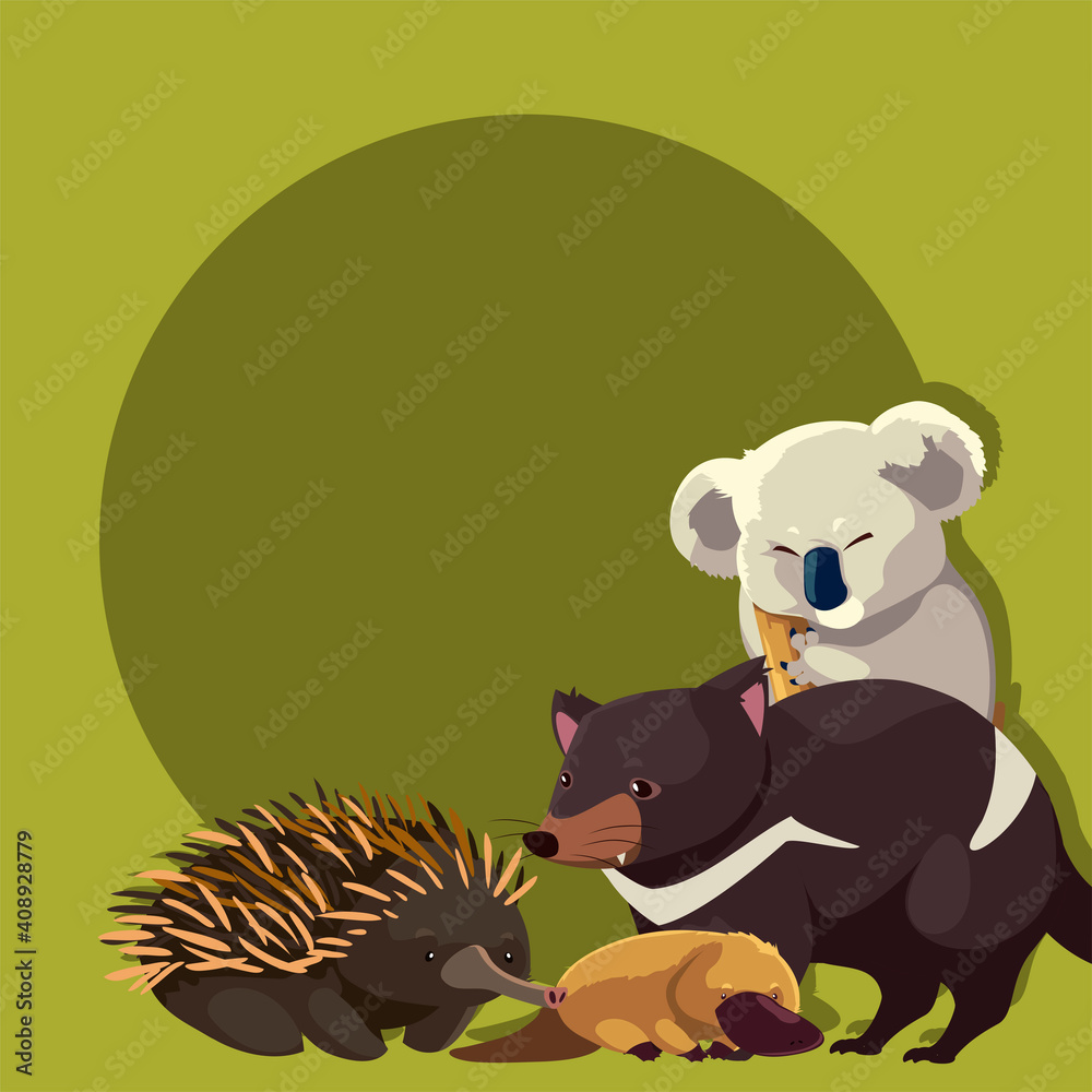koala hedgehog platypus tasmanian devil australian animal wildlife ...