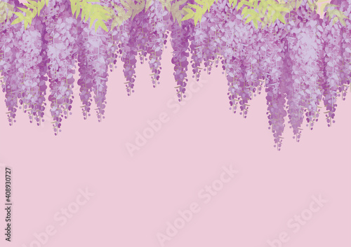 藤棚の花の背景イラスト