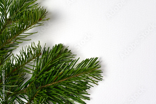 Green branches of pine and spruce lie on a white background  close-up  all the needles are visible.