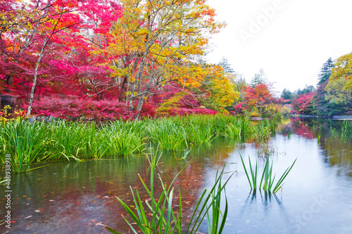 Autumn leaves of kumoba pond in Karuizawa,Japan photo