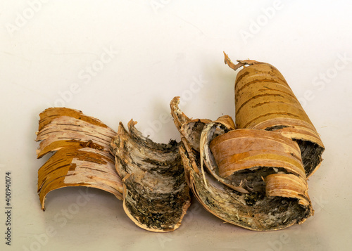 Принти на полотні birch bark, bark. white background