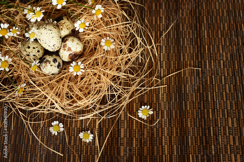 Quail eggs and daisy flower...