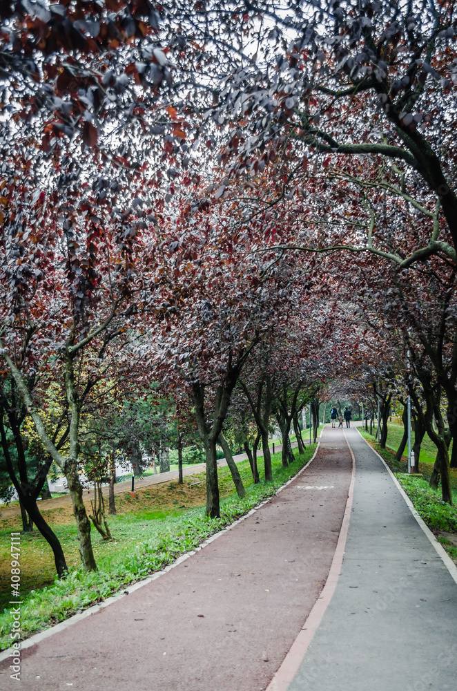 The city's green park of the city of Timisoara in the autumn 