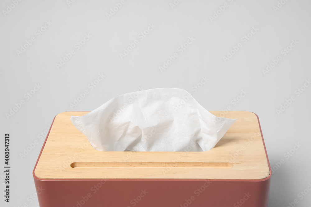 Obraz premium Holder with paper tissues on light grey background, closeup