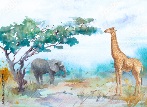 Fototapeta Akwarela, krajobraz afrykańskiej sawanny. Ręcznie malowany widok natury z drzewami, chmurami nieba i zwierzętami. Piękna scena safari