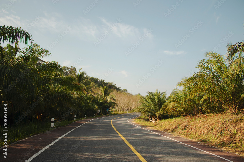 Travel asphalt road landscape