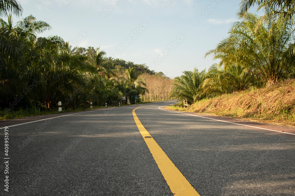 Travel asphalt road landscape