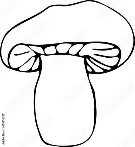 Black and white isolated illustration of mushroom