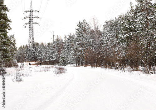 People walk along a wide forest road. Walk in the winter park. Beautiful bright winter landscape. Place for text. Winter season concept.