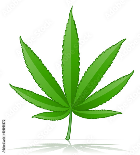cannabis marijuana leaf medicinal drug legalization vector illustration