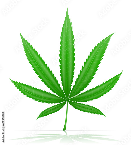 cannabis marijuana leaf medicinal drug legalization vector illustration
