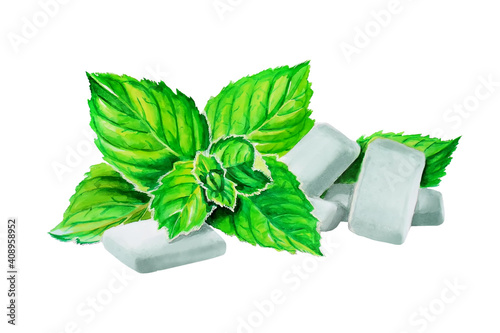 Mint lemon balm plant, spearmint, peppermint, curly mint and peppermint chewing gum. photo