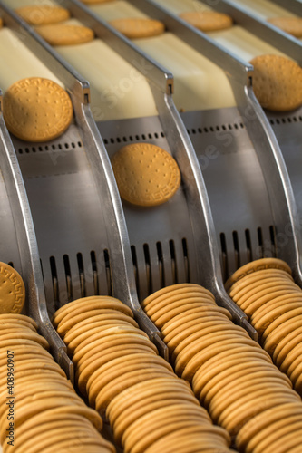 Biscuits on conveyor belt at factory