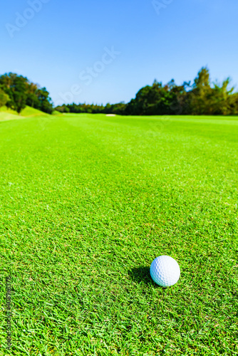 ゴルフ ボール golf