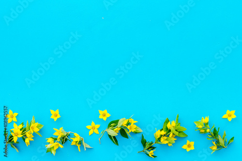 Flowers composition of wild spring yallow flowers, top view