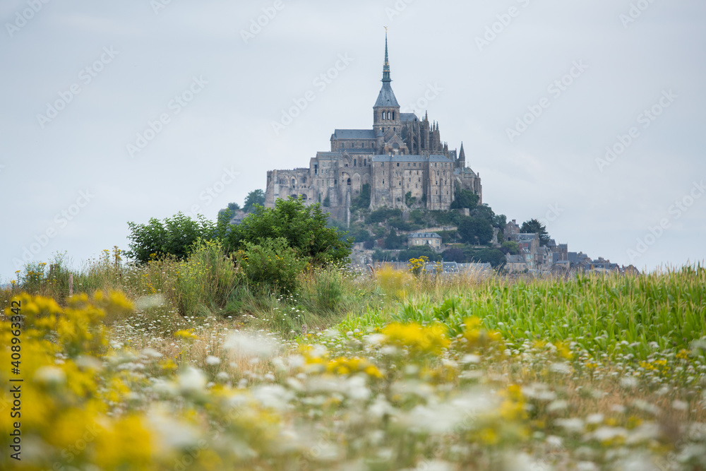 Mont Saint Michel, world heritage with yellow flower field in the foreground, photographed in summer in Normandy, France.