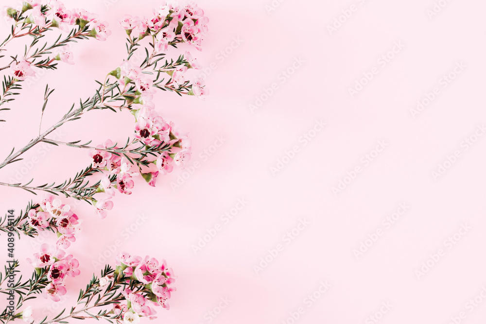 Beautiful spring flowers composition flatlay. Pink flowers on pastel pink background. Valentines Day, Easter, Happy Women's Day, Mother's day. Flat lay, top view, copy space Beautiful spring flowers composition flatlay. Pink flowers on pastel pink background. Valentines Day, Easter, Happy Women's Day, Mother's day. Flat lay, top view, copy space