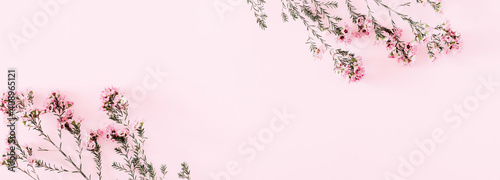 Beautiful spring flowers composition flatlay. Pink flowers on pastel pink background. Valentines Day, Easter, Happy Women's Day, Mother's day. Flat lay, top view, copy space