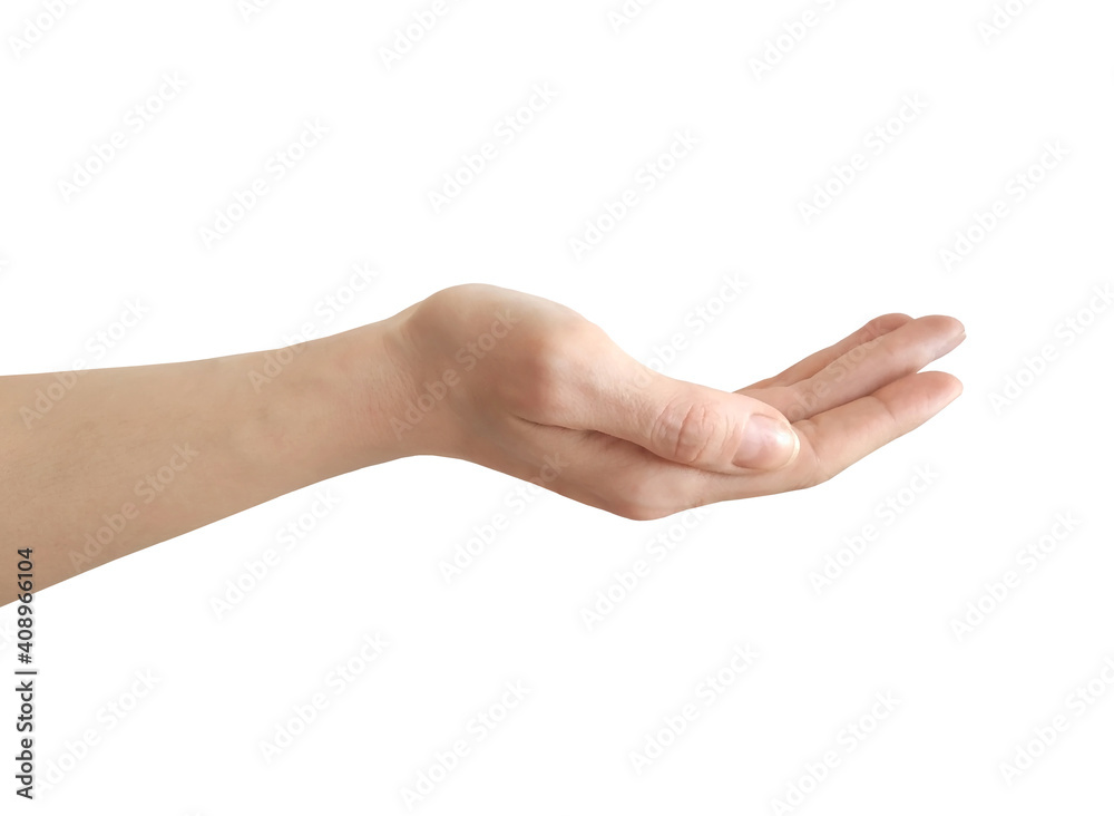 Open female hand palm up isolated on a white background Open female hand palm up isolated on a white background