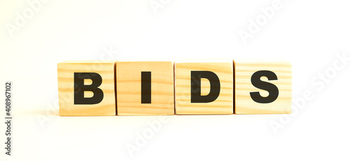 The word BIDS. Wooden cubes with letters isolated on white background.