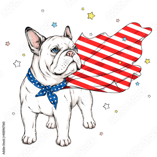 Cute bulldog in a superhero cape. Vector illustration. Dog american
