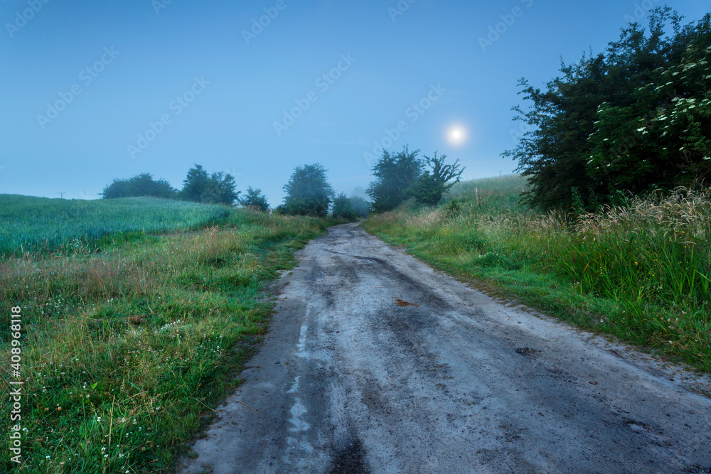 Obraz premium road in the field