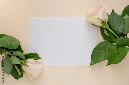 Holiday love card with pale pink roses and background