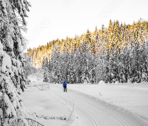 Man skiing through a snowy forest on a bright winters day. photo