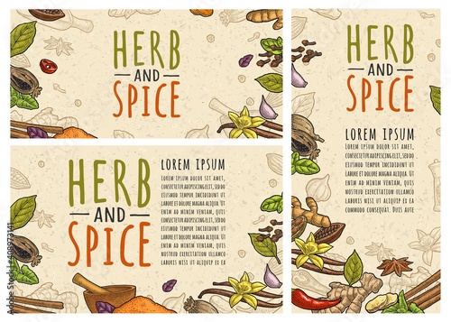 HERB and SPICE handwriting lettering. Set vector color engraving