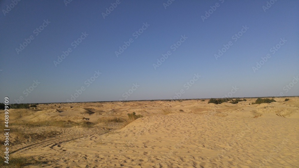 dunes in the desert dunes in the desert
