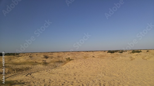 wydmy na pustyni