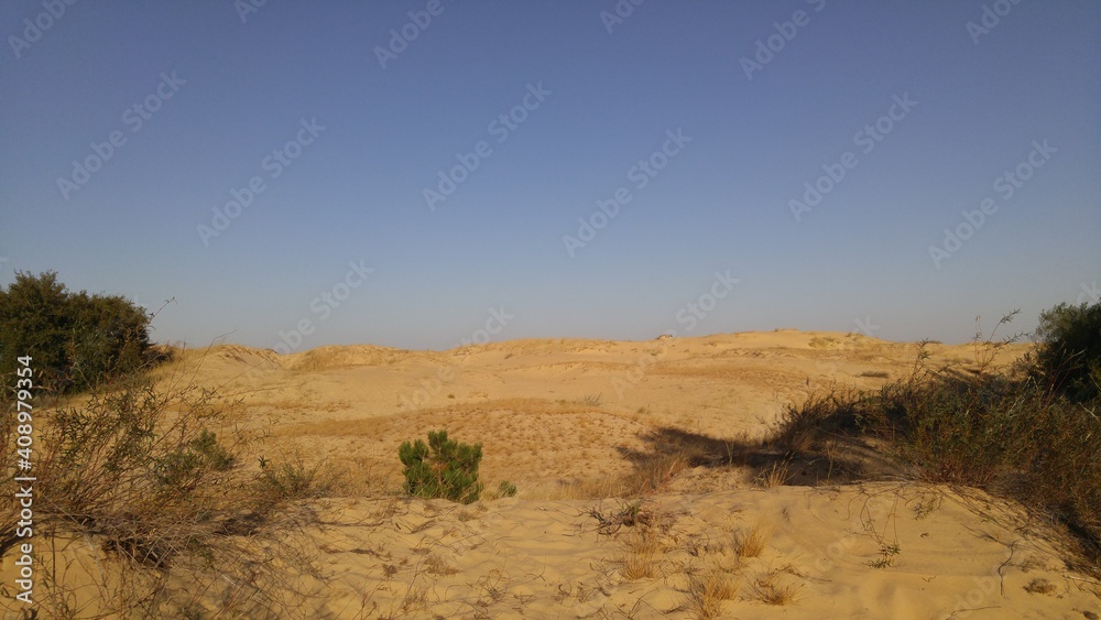 landscape in the desert