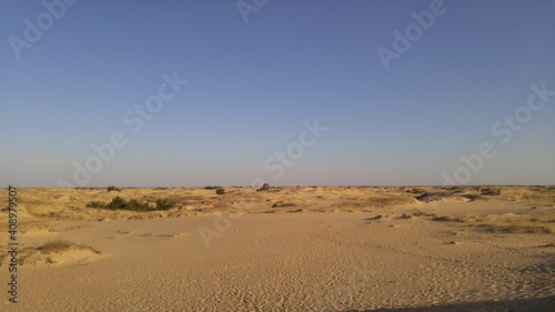 dunes in the desert