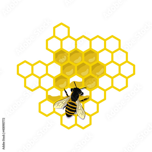 Working bee making honey and propolis. Banner, icon. Flat illustration isolated on the white background