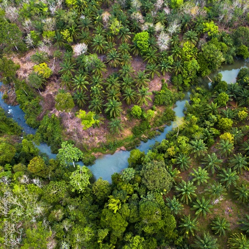 Green natural scenery in the green forests of Sumatra Indonesia and fresh from the air