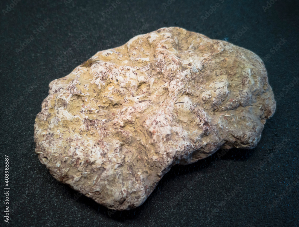 plitnyak stone, Ilmen clay with inclusions of ancient mollusks plitnyak stone, Ilmen clay with inclusions of ancient mollusks