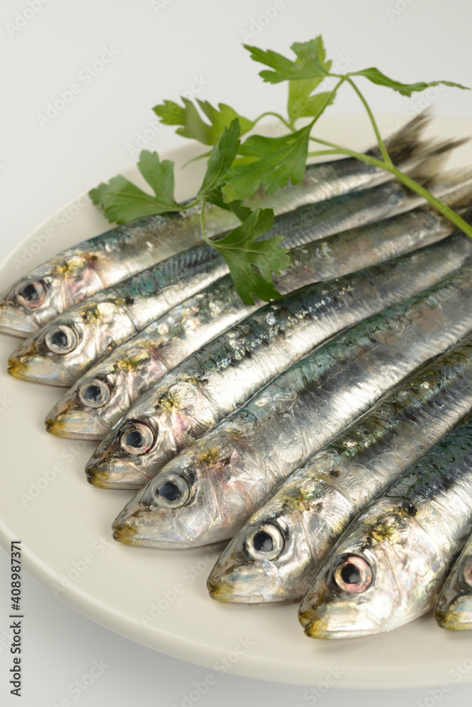 Sardinas crudas en un plato sobre fondo blanco Sardinas crudas en un plato sobre fondo blanco