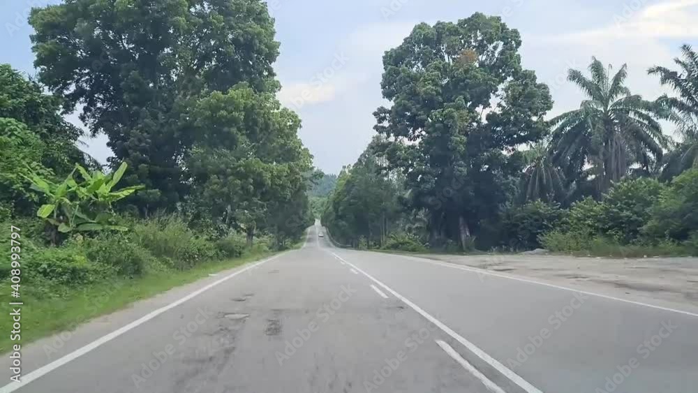 Tall Trees And Greenery Surrounding Narrow Grey Road - Dolly Forward Tall Trees And Greenery Surrounding Narrow Grey Road - Dolly Forward