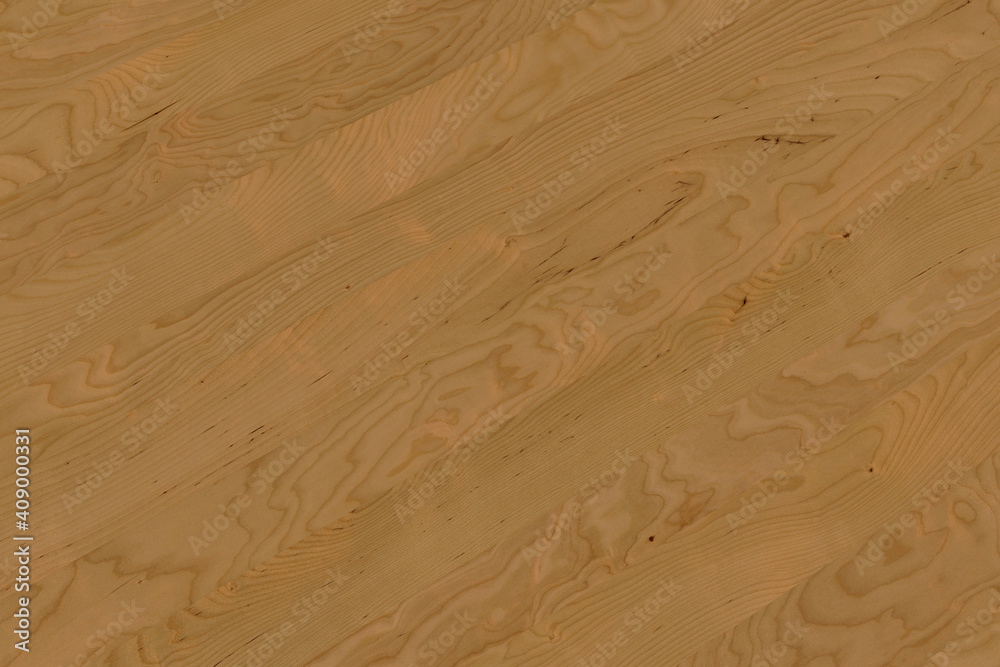 Fototapeta premium birch wooden background texture structure backdrop