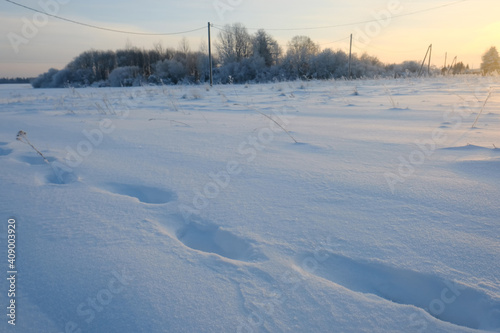 Footprints In Snow. Human Footprints In The Snow.